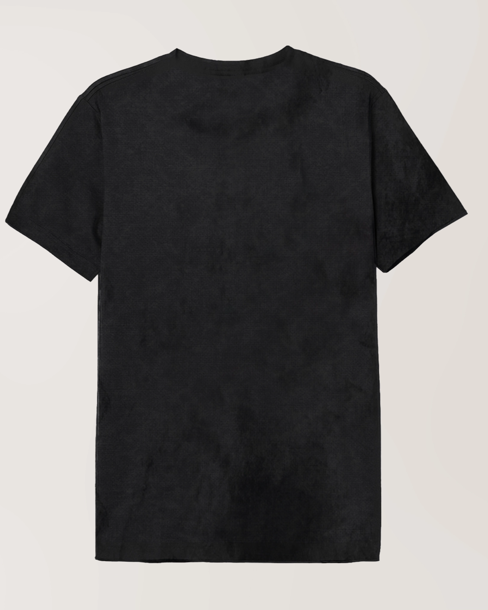 Dos du T-shirt Jurassic Park noir stonewashed sans impression, coupe classique pour un look décontracté et tendance.