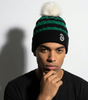 Harry Potter Bobble Hat - Slytherin icon