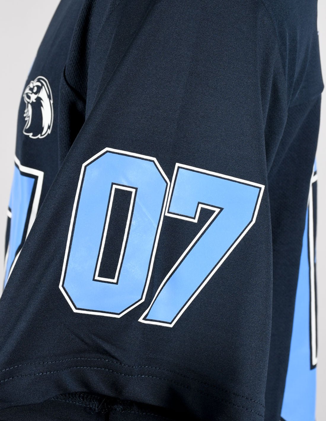 T-shirt Sport Harry Potter - Ravenclaw 07 - Legend Stuff - Harry Potter - T-shirt